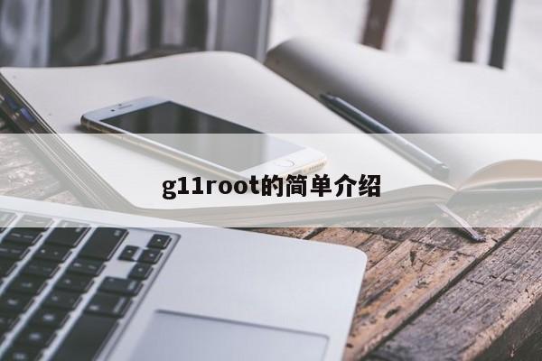 g11root的简单介绍